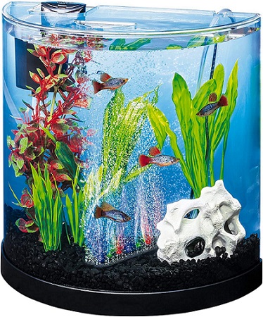 Tetra ColorFusion Starter Aquarium