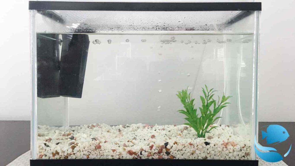 how-to-build-a-large-glass-aquarium