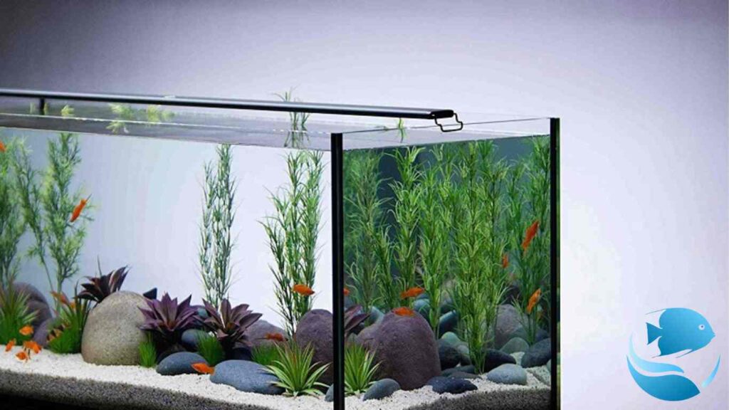 how-to-turn-an-aquarium-into-a-reptile-terrarium